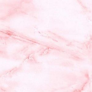 Meet your Posher, Latoya